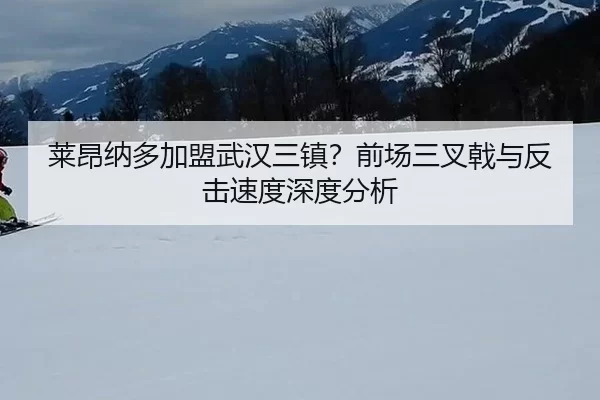 lai-ang-na-duo-jia-meng-wu-han-san-zhen-qian-chang-san-cha-ji-yu-fan-ji-su-du-shen-du-fen-xi-3-791.jpg